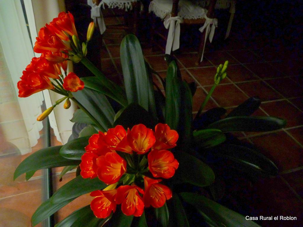 Casa Rural El Roblon Sartajada Zewnętrze zdjęcie