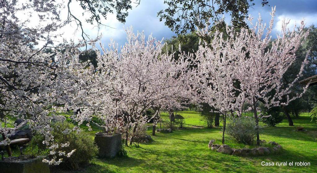Casa Rural El Roblon Sartajada Zewnętrze zdjęcie