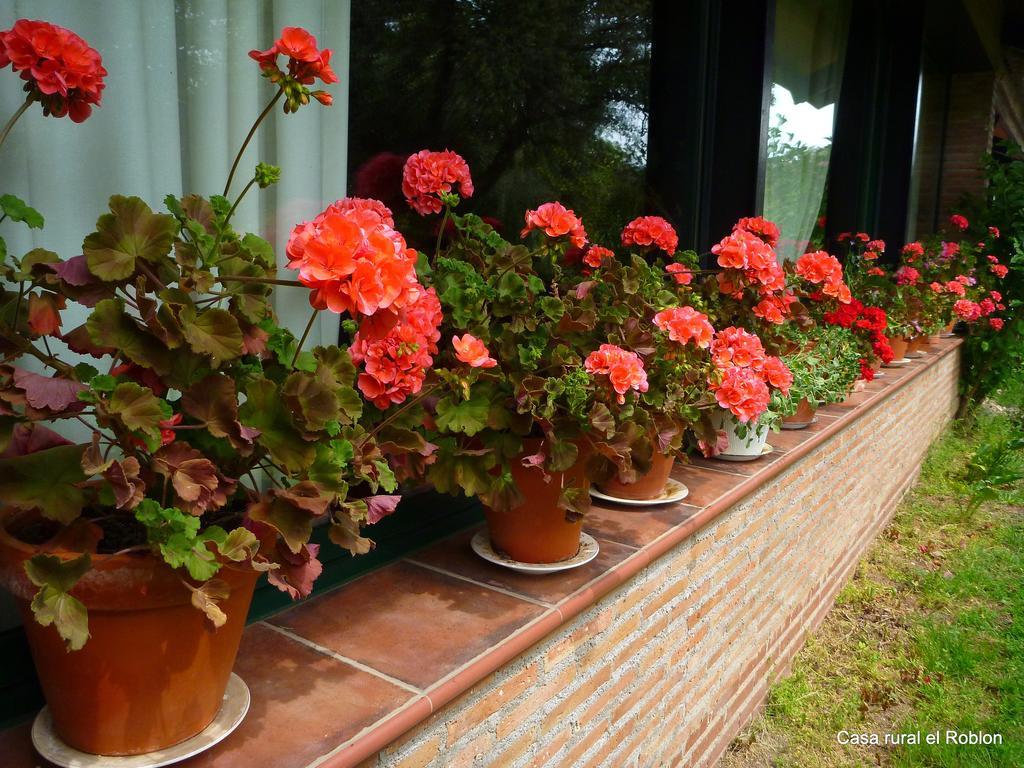 Casa Rural El Roblon Sartajada Zewnętrze zdjęcie
