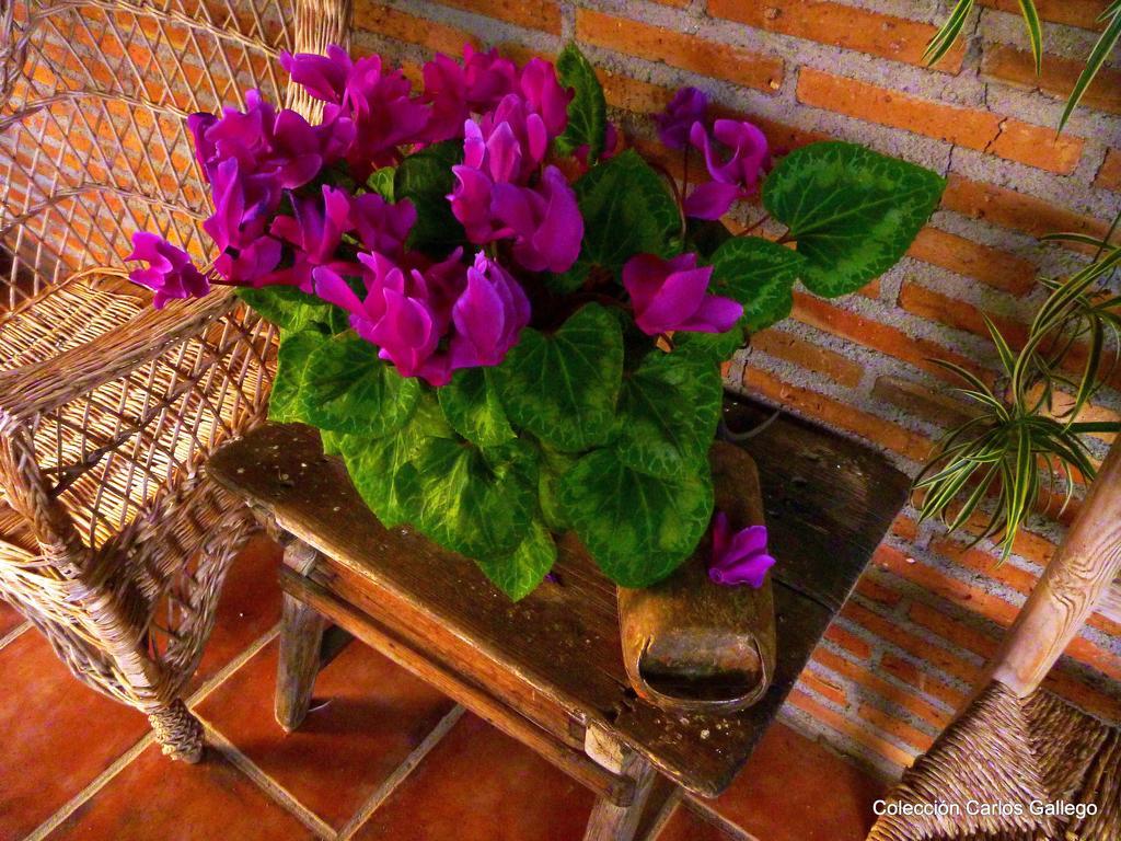Casa Rural El Roblon Sartajada Zewnętrze zdjęcie