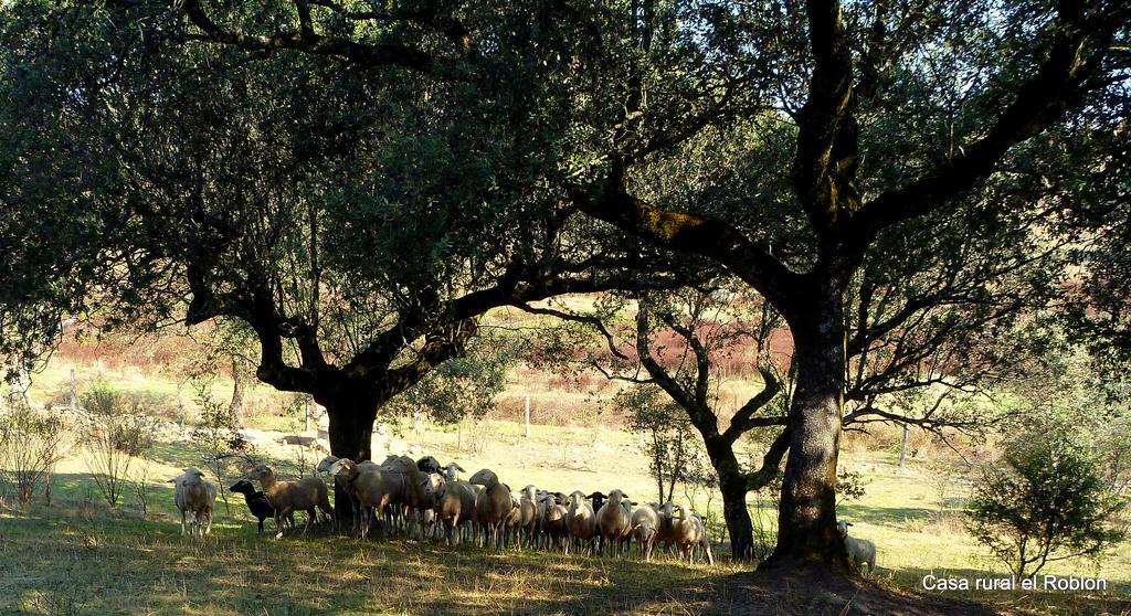 Casa Rural El Roblon Sartajada Zewnętrze zdjęcie