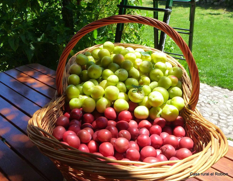 Casa Rural El Roblon Sartajada Zewnętrze zdjęcie