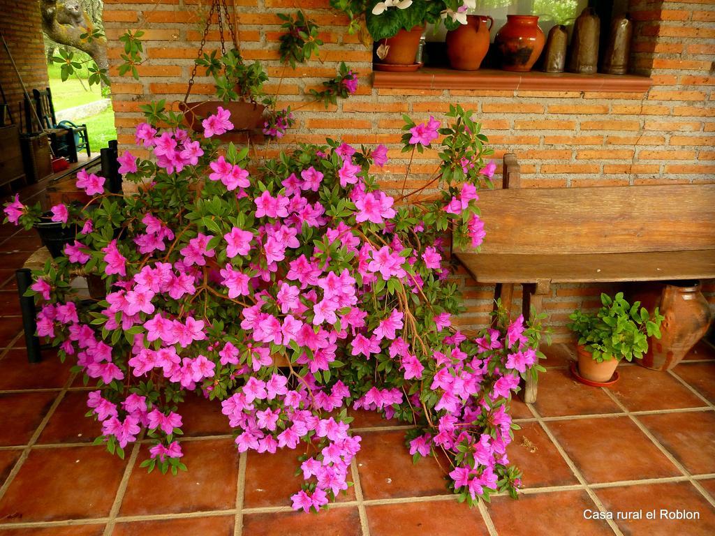 Casa Rural El Roblon Sartajada Zewnętrze zdjęcie